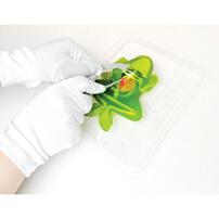 Dissect It Synthetic Dissection Frog