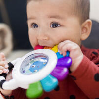 Baby Einstein小小愛因斯坦 感官探索三件組禮盒