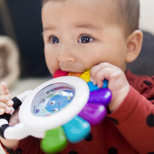 Baby Einstein小小愛因斯坦 感官探索三件組禮盒
