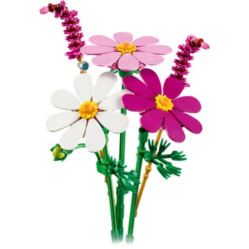 LEGO樂高花藝系列 大波斯菊 11514