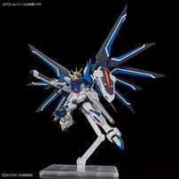 Bandai萬代 HG 1/144 飛昇自由高達