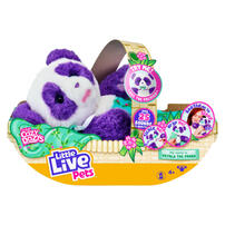 Little Live Pets我的小寵物-愛睡寵物系列-小熊貓