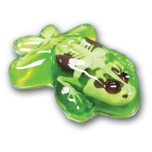 Dissect It Synthetic Dissection Frog