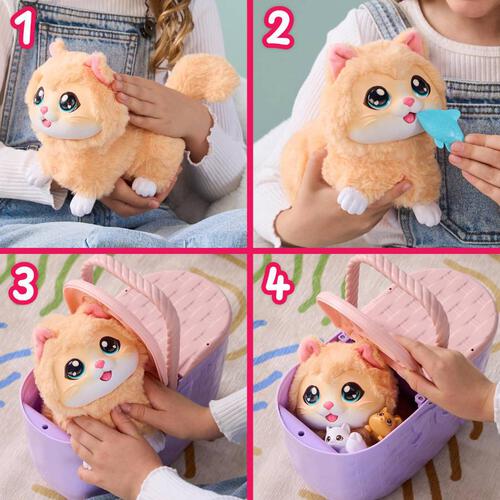 Little Live Pets 我的小寵物 小貓一家親