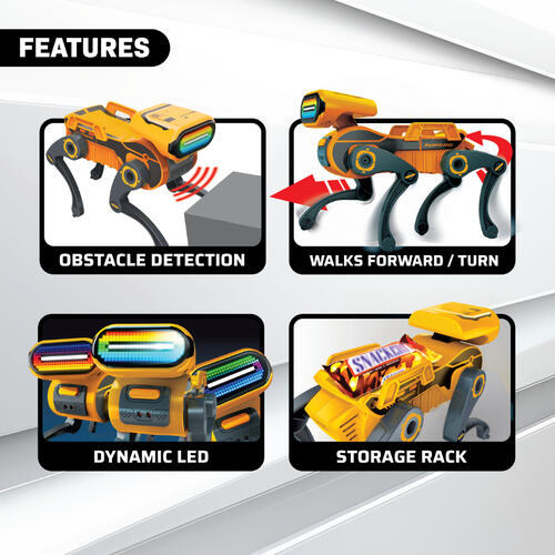 SilverLit Robo Express