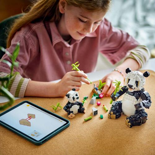 LEGO樂高創意系列 野生動物：熊貓家庭 31165