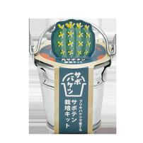 Seishin 聖新陶芸 仙人掌迷你鐵桶種植套裝 - 圓仙人掌 GD-103401