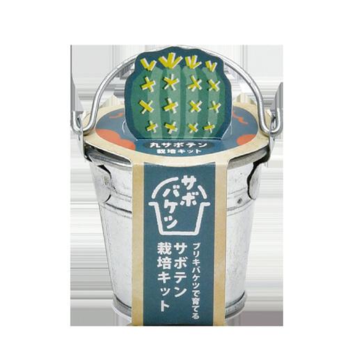 Seishin 聖新陶芸 仙人掌迷你鐵桶種植套裝 - 圓仙人掌 GD-103401
