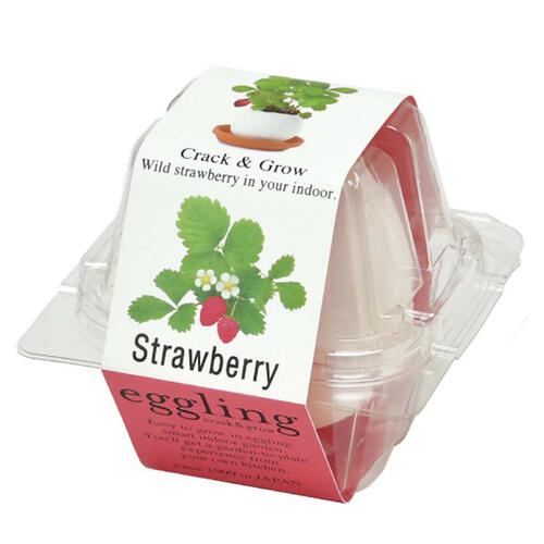 Seishin 蛋殼小盆栽 - 士多啤梨