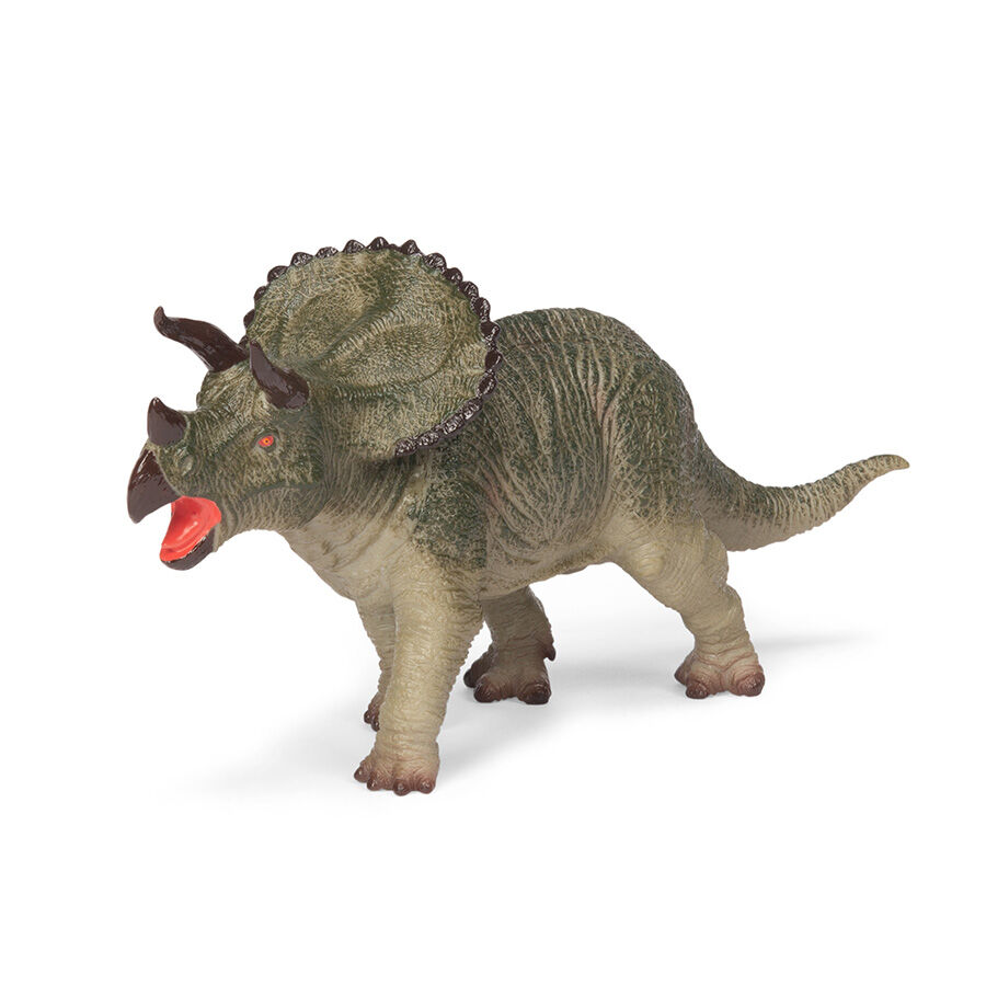ビカクシダ P.Triceratops 三角龍（pup） P. Triceratops 三角龍限定花