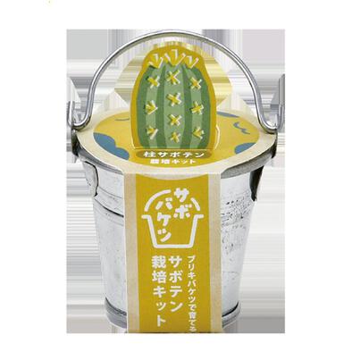 Seishin 聖新陶芸 仙人掌迷你鐵桶種植套裝 - 柱狀仙人掌 GD-103402