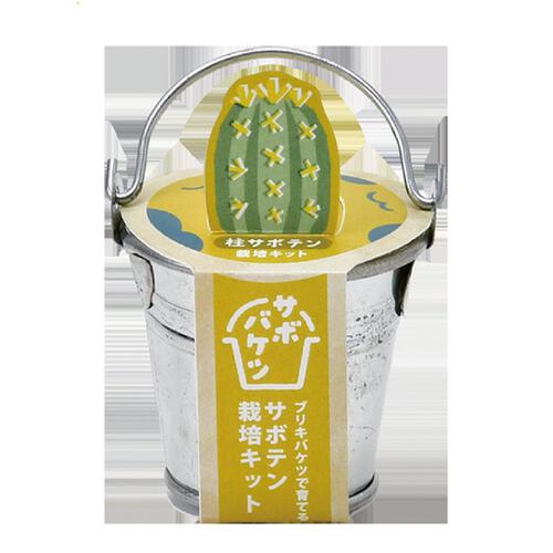 Seishin 聖新陶芸 仙人掌迷你鐵桶種植套裝 - 柱狀仙人掌 GD-103402