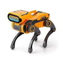 SilverLit Robo Express