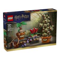 LEGO樂高哈利波特系列 霍格華茲藥草學植物 76474