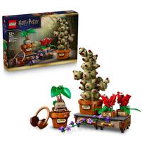 LEGO樂高哈利波特系列 霍格華茲藥草學植物 76474