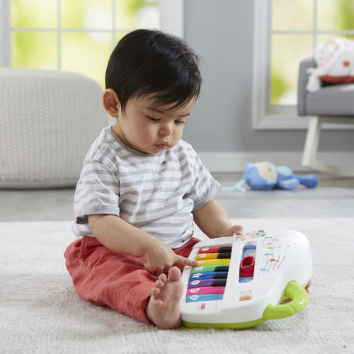 Fisher-Price Laugh  & Learn Silly Sounds