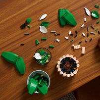 LEGO Botanicals 白鶴芋 11504
