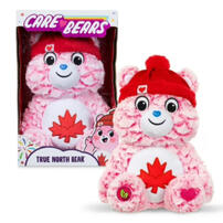 Care Bears True North Bear 3.0 Plush (14")