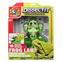 Dissect It Synthetic Dissection Frog