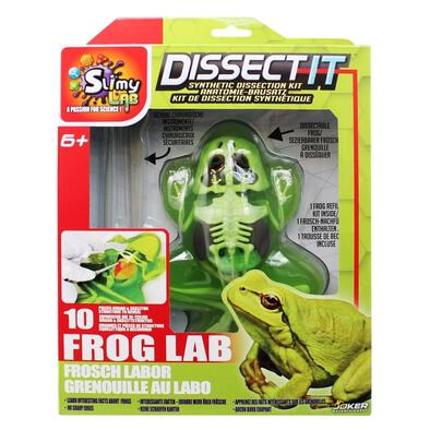 Dissect It Synthetic Dissection Frog