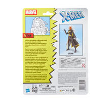 Marvel漫威 傳奇系列暴風女