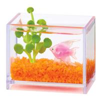 Mga's Miniverse 迷你小宇宙 可愛動物 - 盲盒( 單件裝)