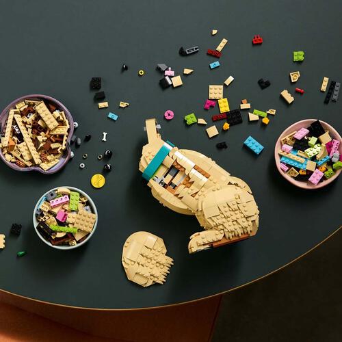 LEGO Icons 小黃金獵犬 11384