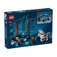 LEGO樂高哈利波特系列 Forbidden Forest: Magical Creatures 76432