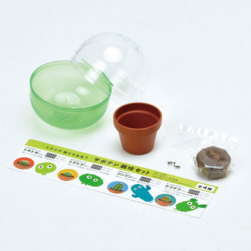 Seishin 仙人掌小盆栽扭蛋 - 盲盒(單件裝)