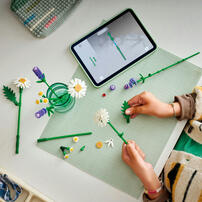 LEGO Botanicals Daisies 11508