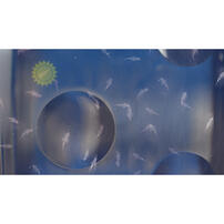 The Original Sea Monkeys Ocean Zoo - Assorted (1 Pc)