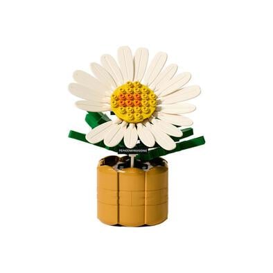 (Pre-order) Oxford G-Dragon 818 Bloom (Expect January 2026)