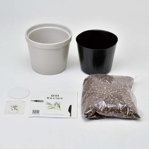 Seishin Recipe - Mint