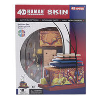 4D Human Anatomy Skin Anatomy Model