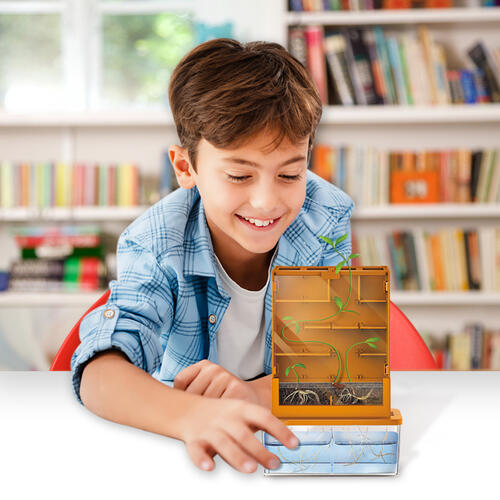 4M 植物迷宮實驗自然教育玩具