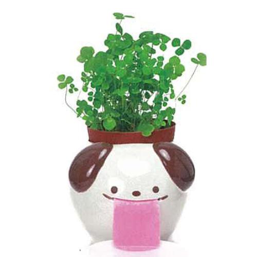 Seishin 聖新陶芸 Peropon PAPA自動吸水盆栽 - 小狗 (三葉草)