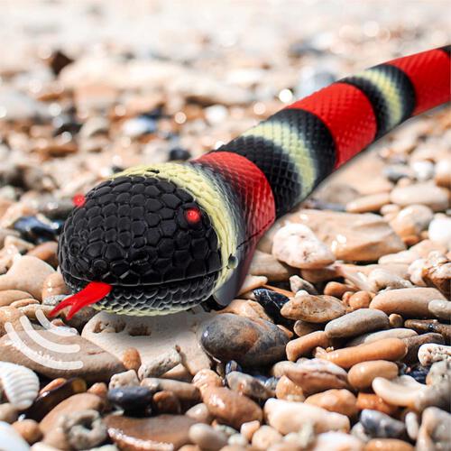 Discovery Toy RC King Snake