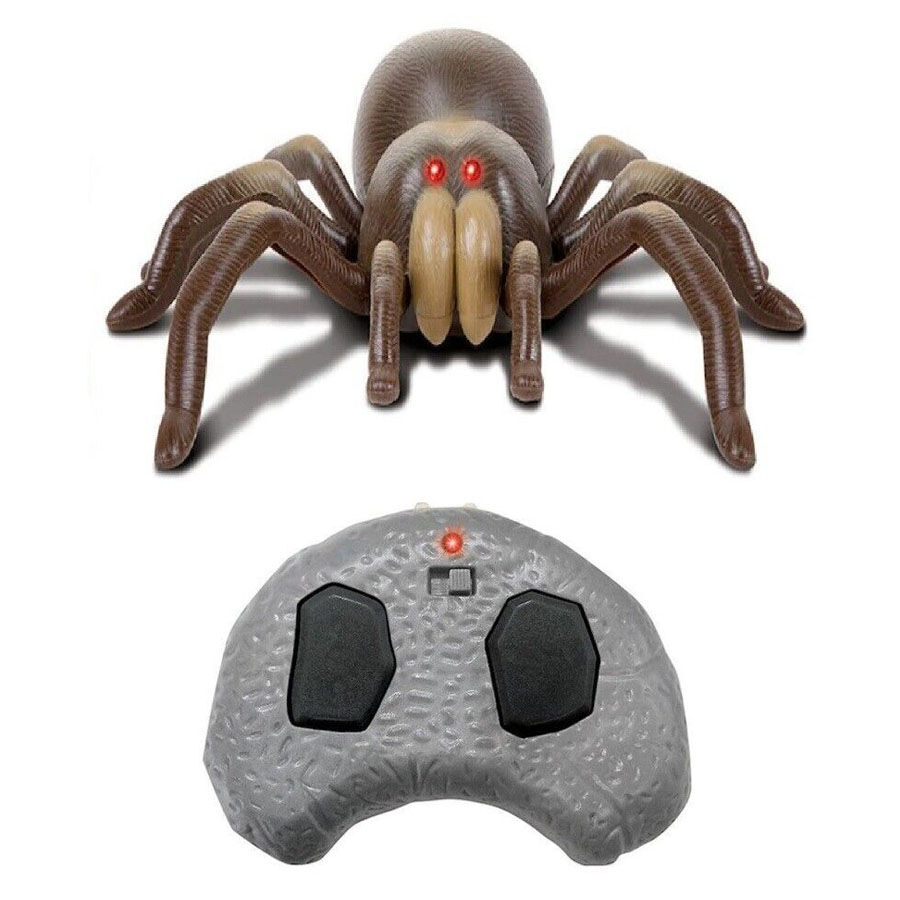 Rc tarantula discovery new arrivals