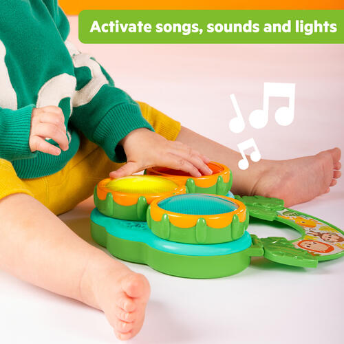 Bright Starts Safari Sounds 音樂樂趣禮盒