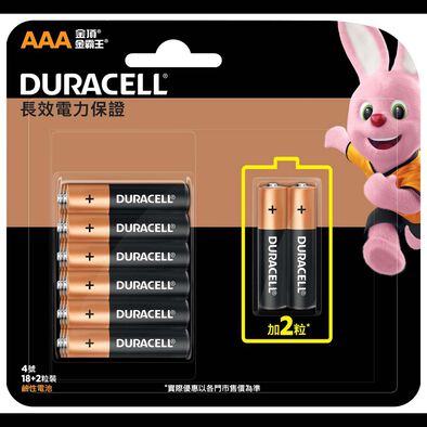 Duracell Alkaline AAA Batteries 20 Pack
