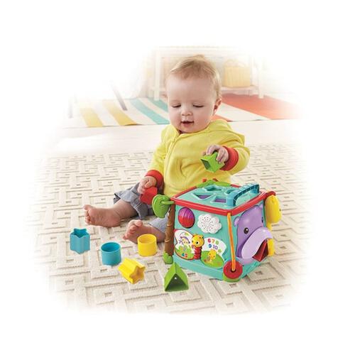 Fisher-Price Play & Learn Activity Cube