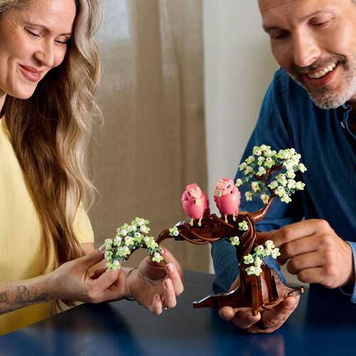 LEGO Ideas 情侶鸚鵡 21365