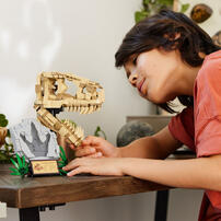 LEGO樂高侏羅紀世界系列 Dinosaur Fossils: T. rex Skull 76964