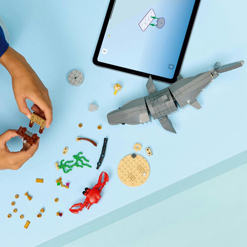 LEGO樂高創意系列 凶猛鯊魚和尋寶箱 31381