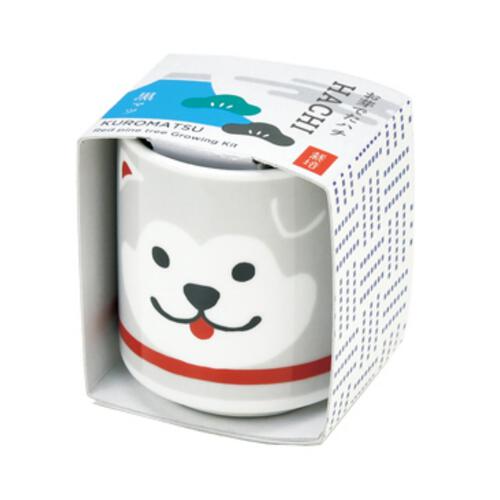 Seishin GD-92202 Shiba Inu Bonsai - Banshosho