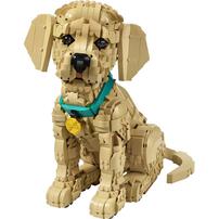 LEGO Icons 小黃金獵犬 11384
