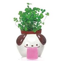 Seishin Peropon Papa - 三葉草狗狗