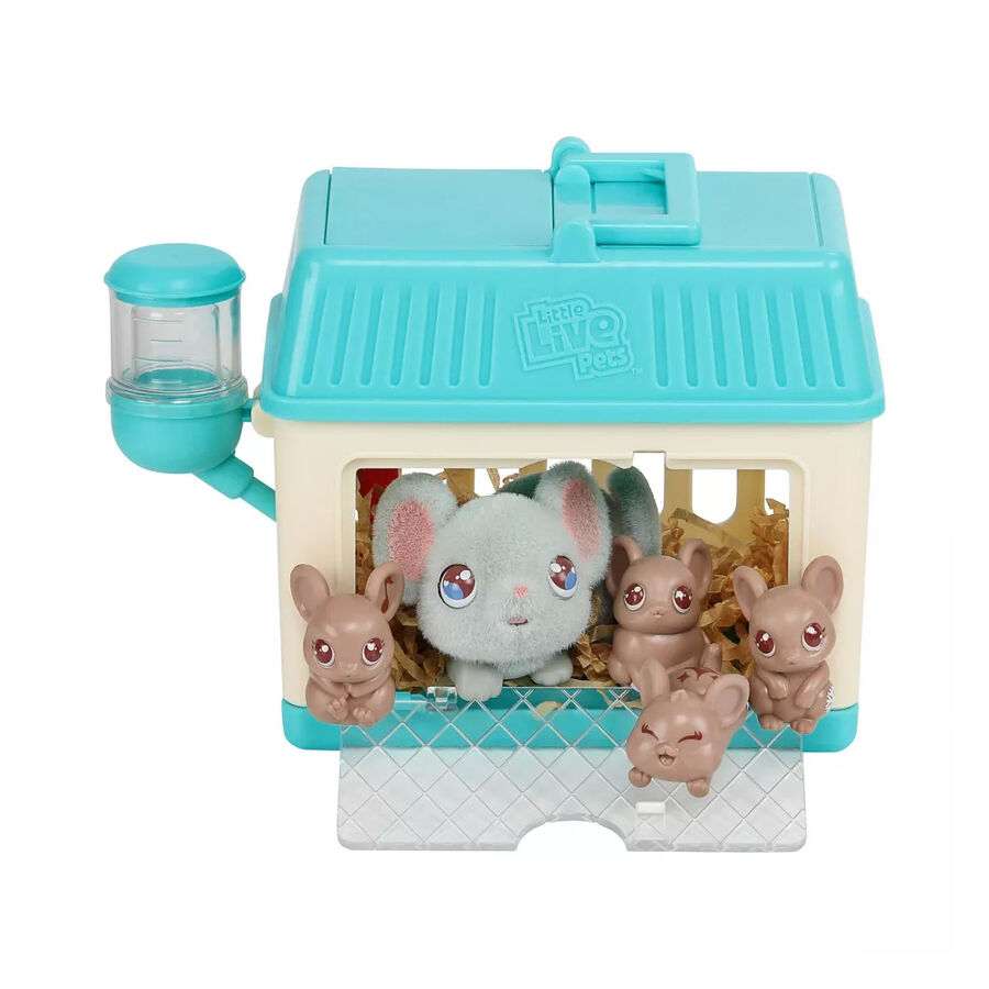 Moose little live pets outlet