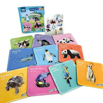 Curios Ocean Park Animal Puzzles