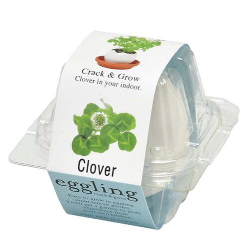 Seishin蛋殼小盆栽 - 三葉草